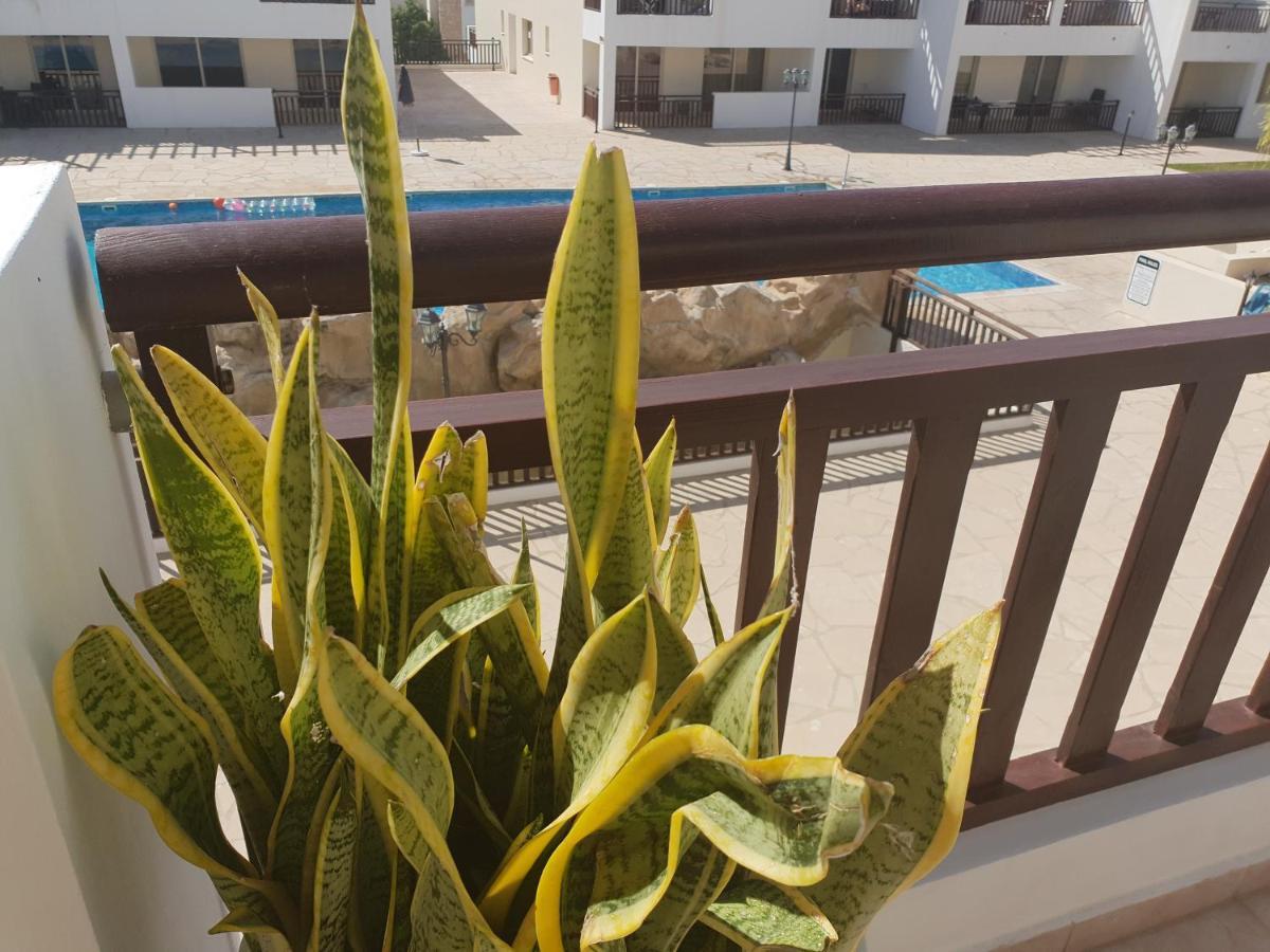 Stunning Apartment C106 With Balcony Looking Over Pool Pegeia Exteriér fotografie